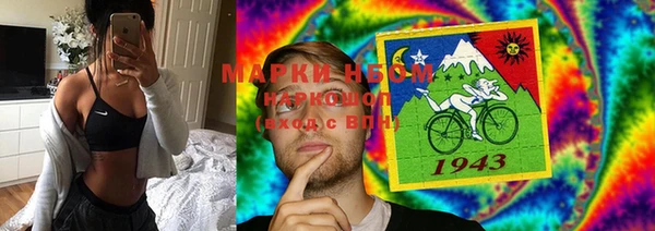 стаф Осинники