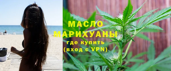 мет Алексин