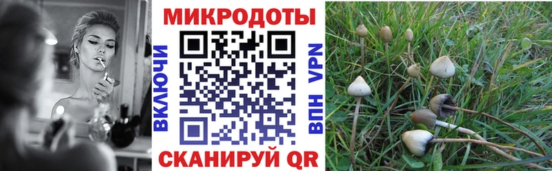 Галлюциногенные грибы MAGIC MUSHROOMS  Алдан 